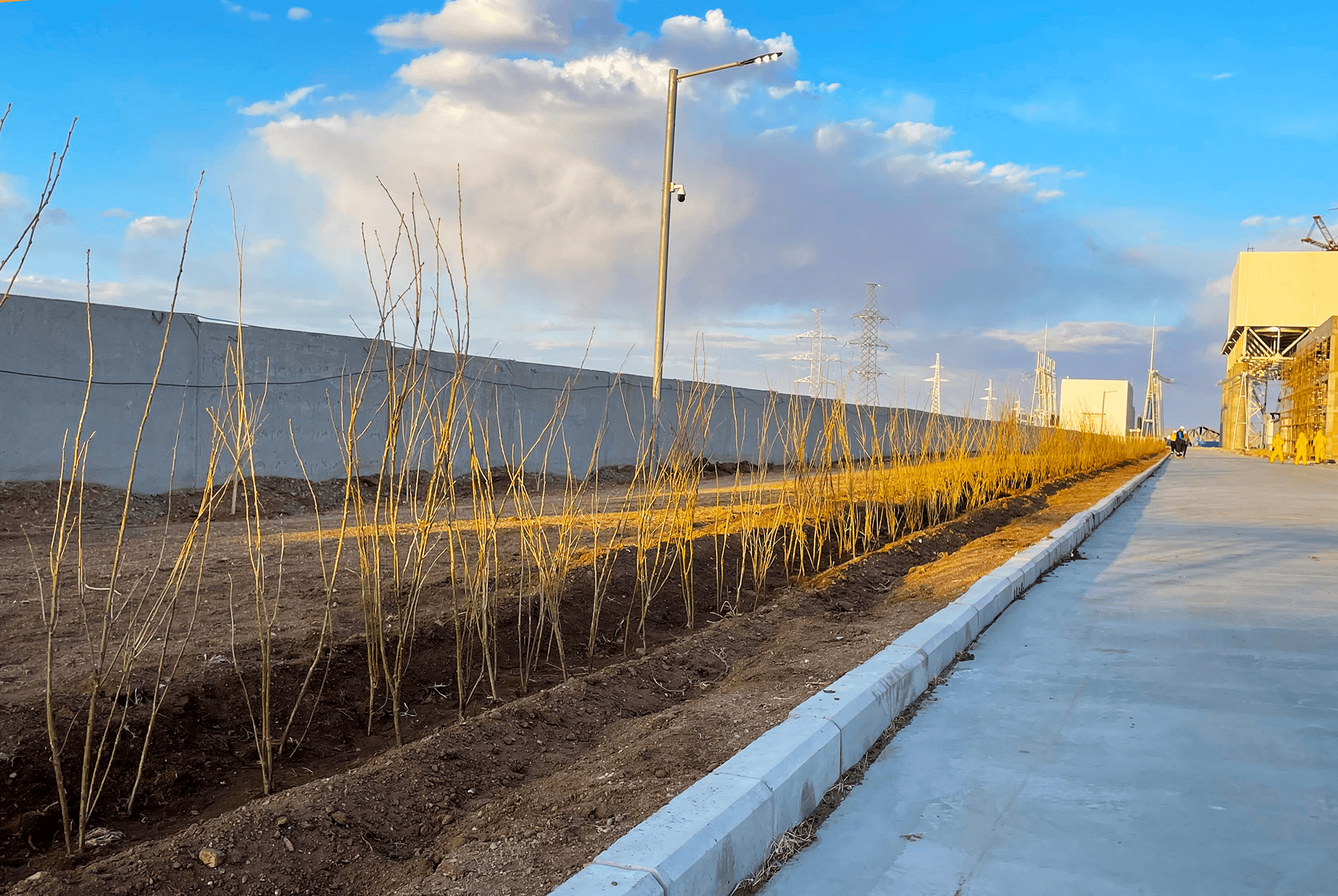 Ногоон байгууламж, ойжуулалт